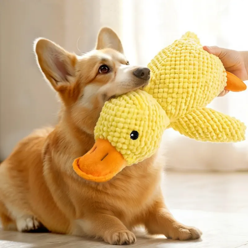 Dog toy plush bite resistant teeth vocal relax dog pet interactive toy