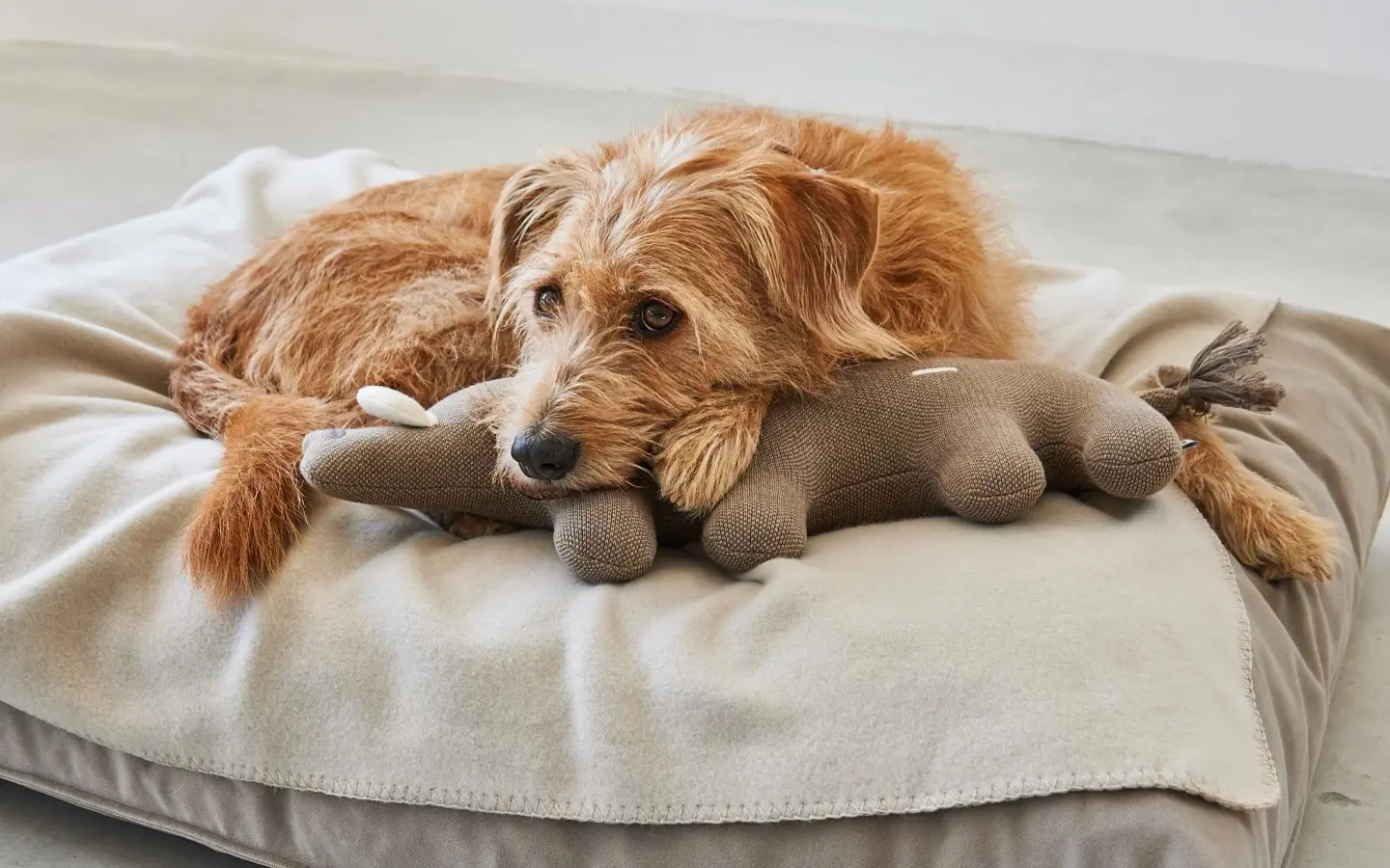 MC_C07-012-04_Play_Bosco_Softtoys_Boar1.jpg