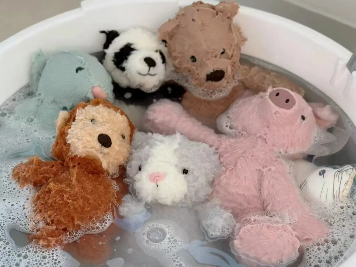 Plush toys care know how much - causes and solutions
