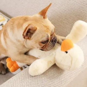 Wholesale chew animal duck plush toys pet squeaky soft toys