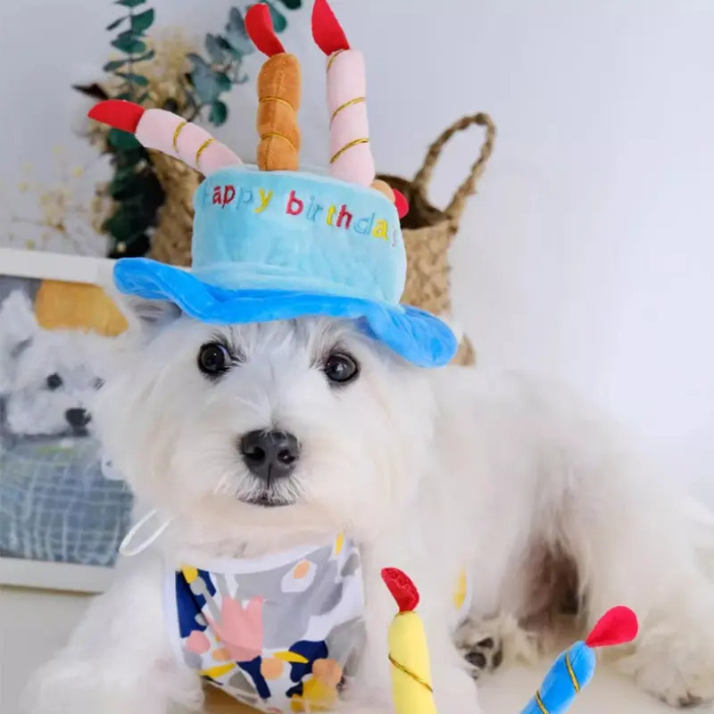  pet celebration hats 