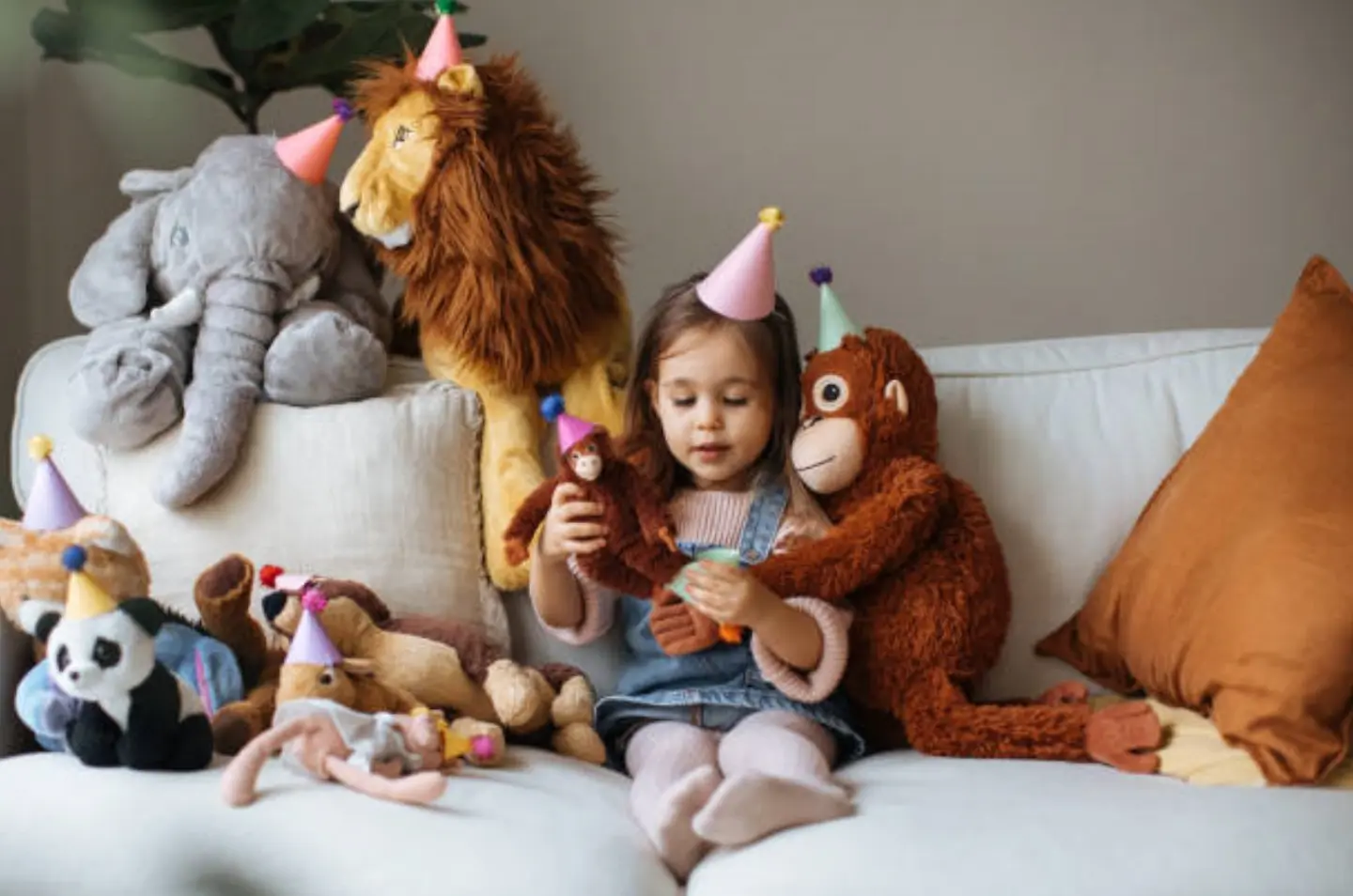 What is the Purpose of Plush Toys?