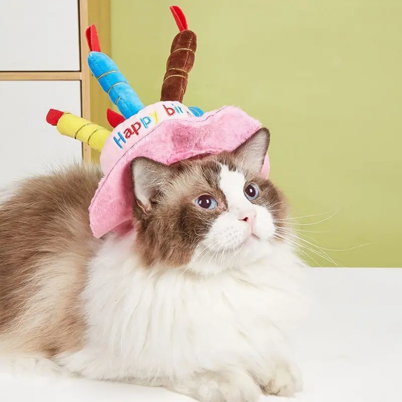 pet party accessories