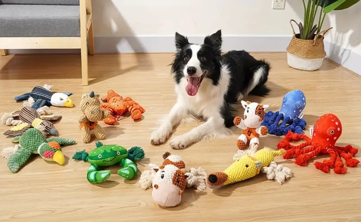 Are Plush Toys OK for Dogs?