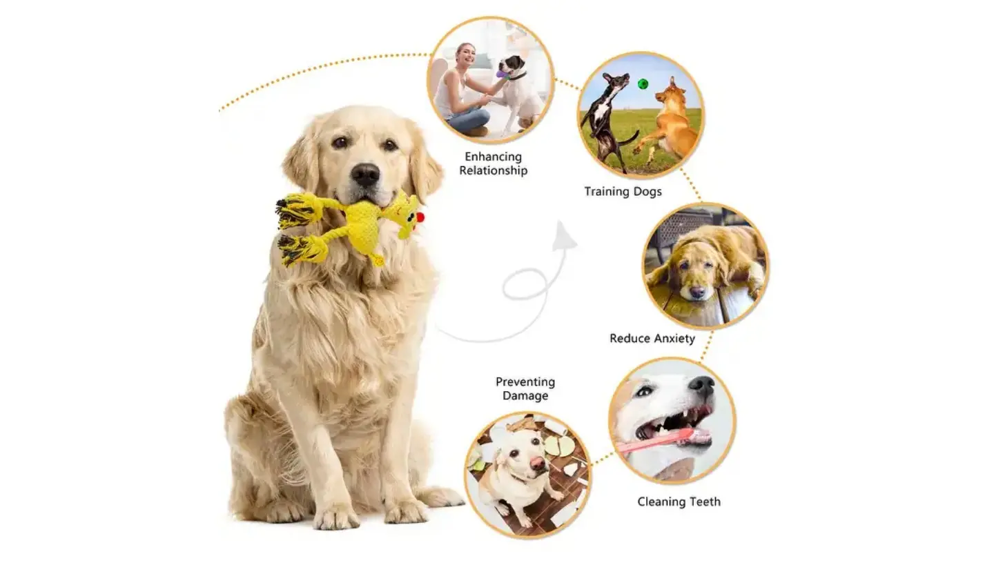 15-Pack-Colorful-Dog-Chew-Toys-for-Teething,-Pet-Rope-Toy-Fun-Interactive-Dog-Toys.jpg