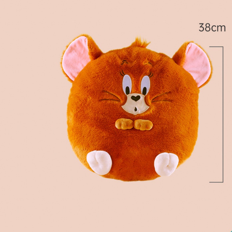 Throw pillow (7)cwv