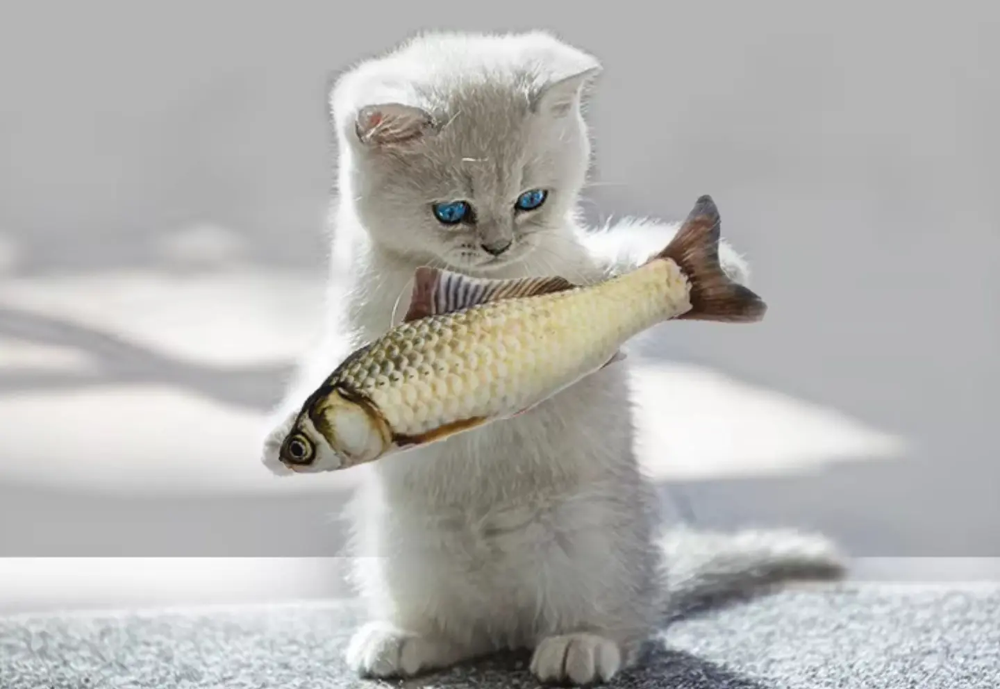 Catnip Plush Toys: The Ultimate Choice for Cat Toys