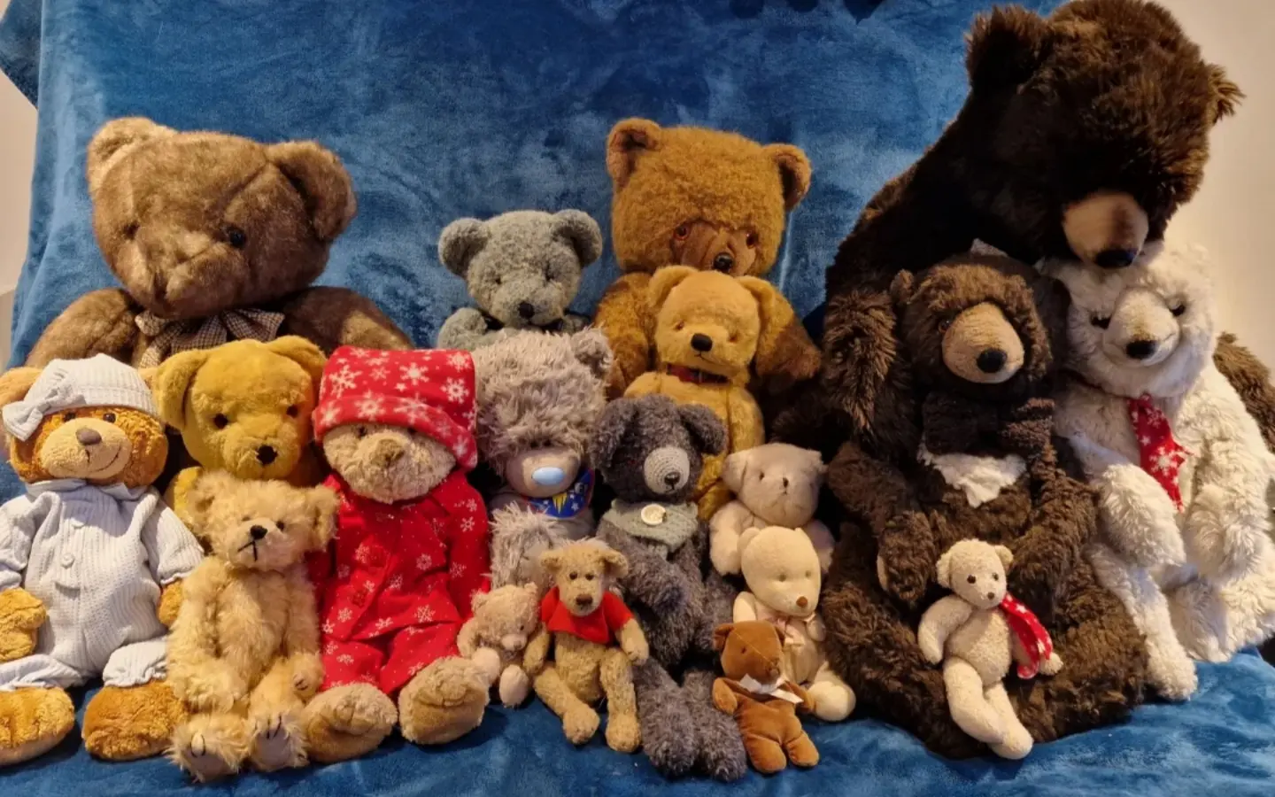is-it-bad-to-have-a-huge-plushie-collection-as-an-adult-v0-t29wlsdgu4uc1.jpg