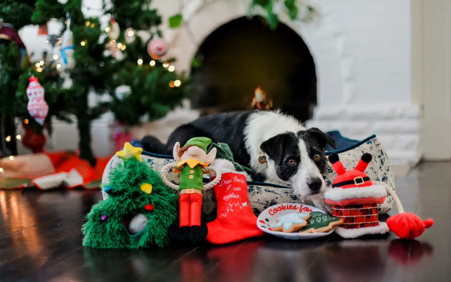 PLAYMerryWoofmasDogPlushieSqueakyToysInteractiveMultiparttoyChristmas2_1b978044-757c-45dc-9fad-2f64f416f73b.jpg