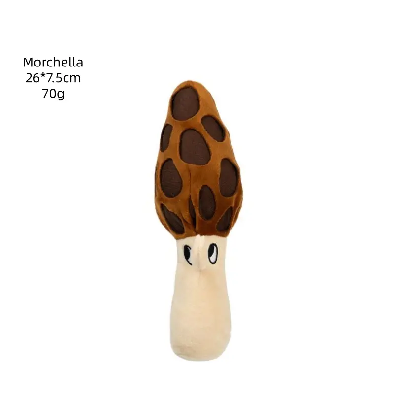 Morchella