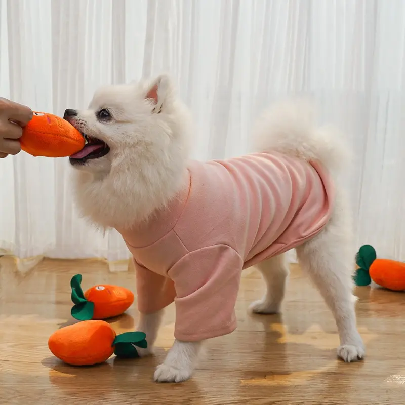 pet interactive toys