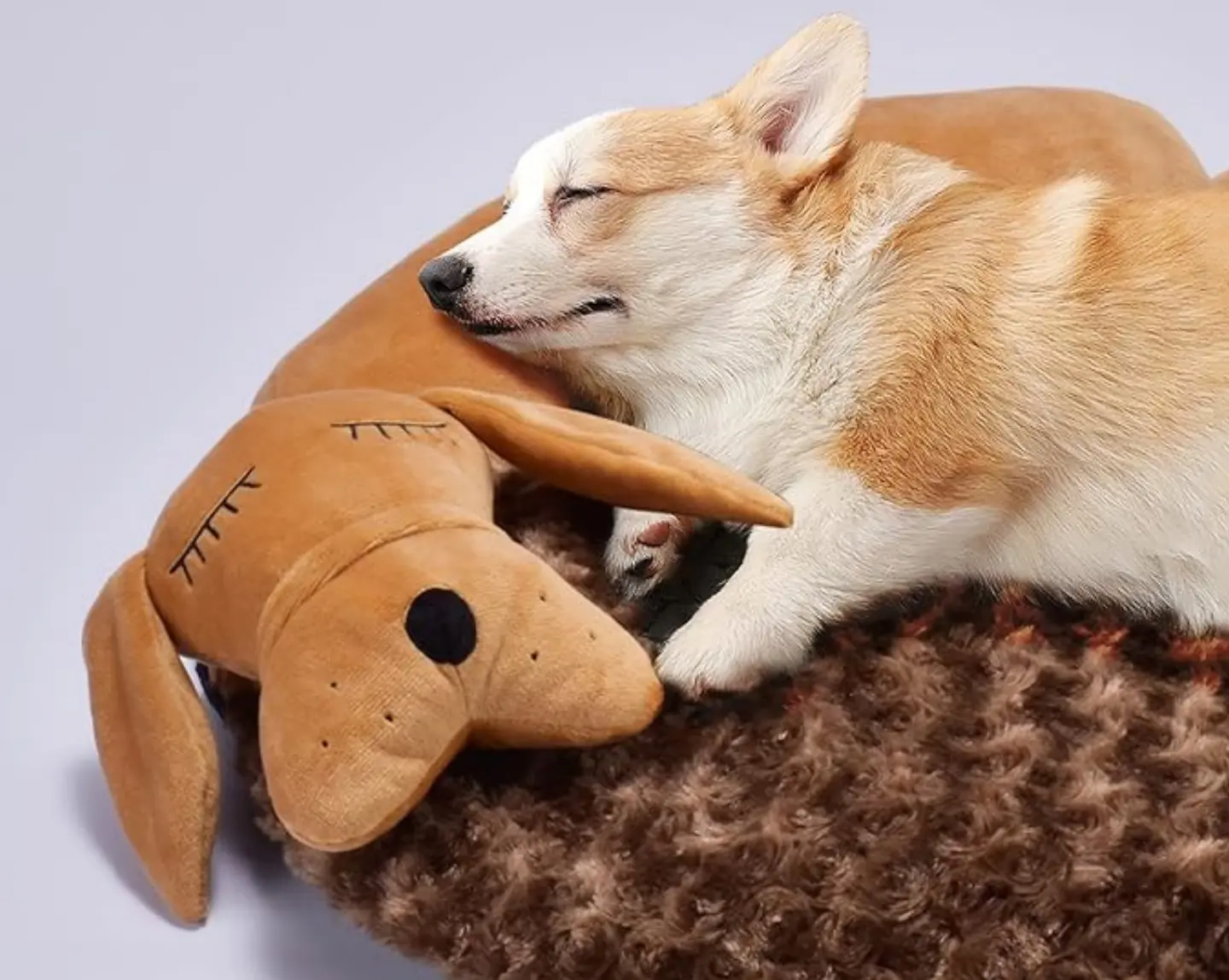 What is the toy for dogs with heartbeat?