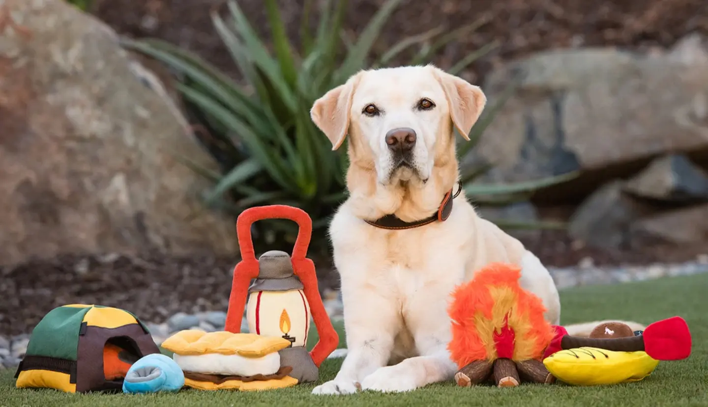 Wholesale Custom Plush Dog Toys Supplier