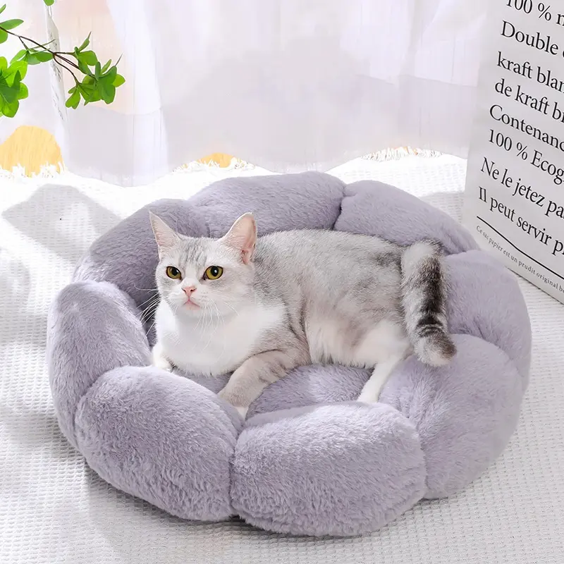dog beds