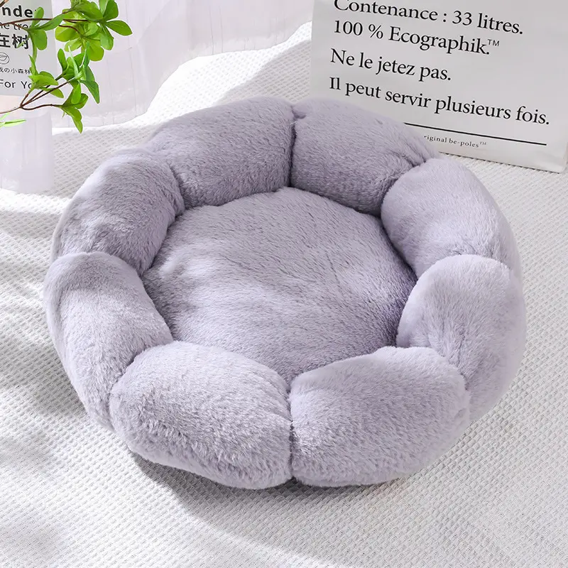 cat beds