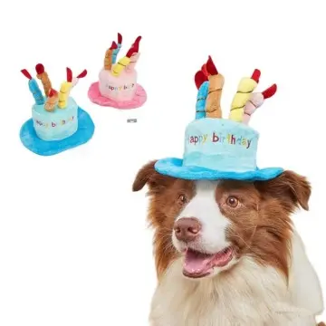 Pet birthday hats cute pet toys cat and dog birthday gifts toys