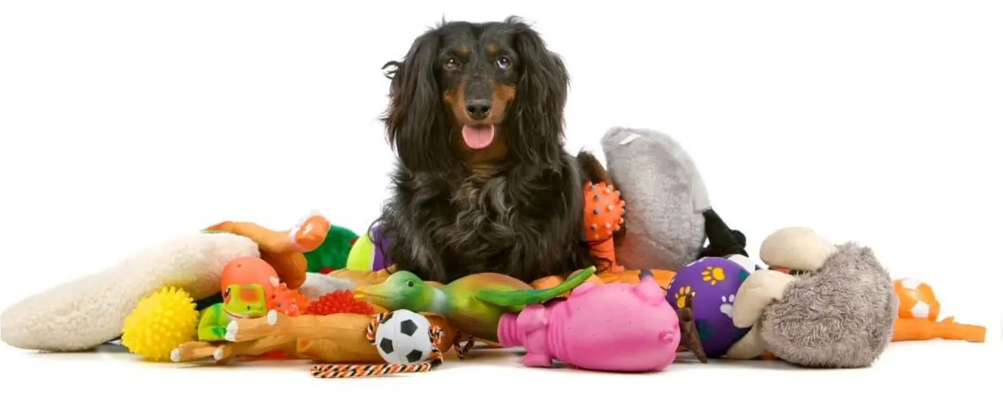 Exploring the World of Dog Plush Toys